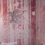 decoro murale (XV sec.), in fase di descialbo, palazzo privato, Asolo