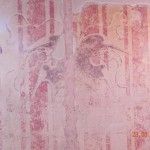 decoro murale (XV sec.), in fase di descialbo, palazzo privato, Asolo